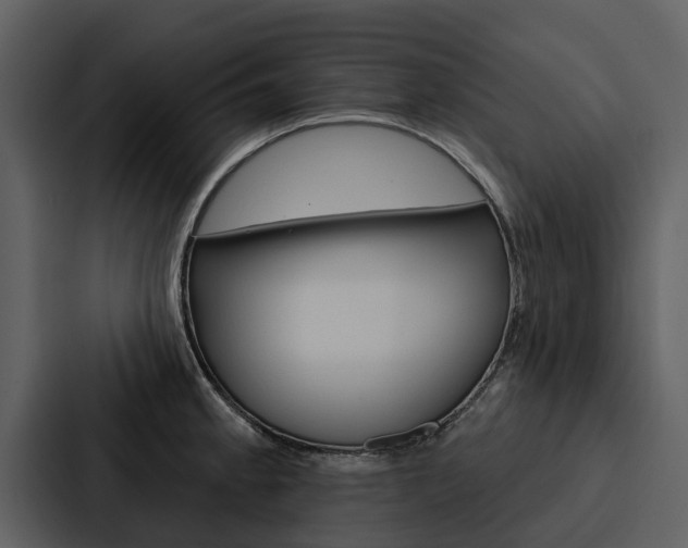 X0000088141189200705141025