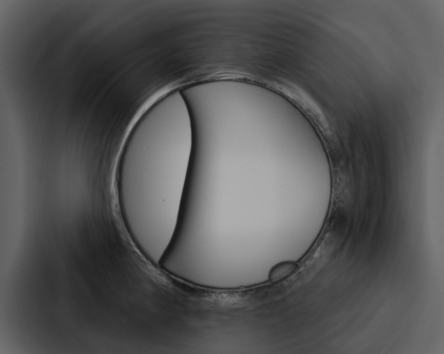 X0000088141190200705141025
