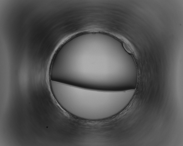 X0000088141191200705141025