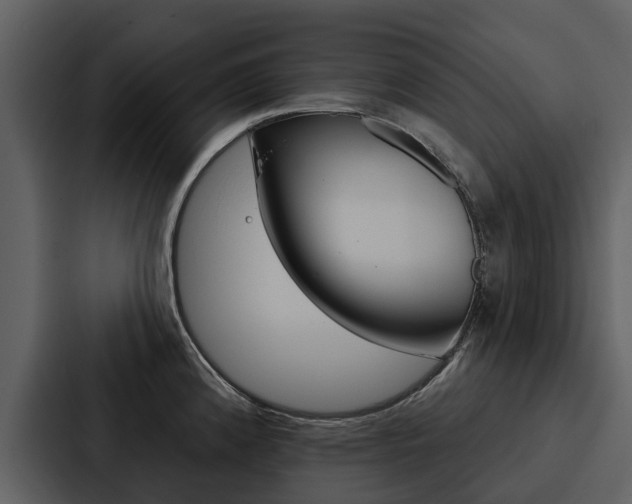 X0000088141192200705141025