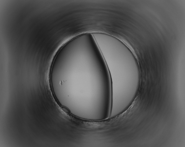 X0000088141197200705141025