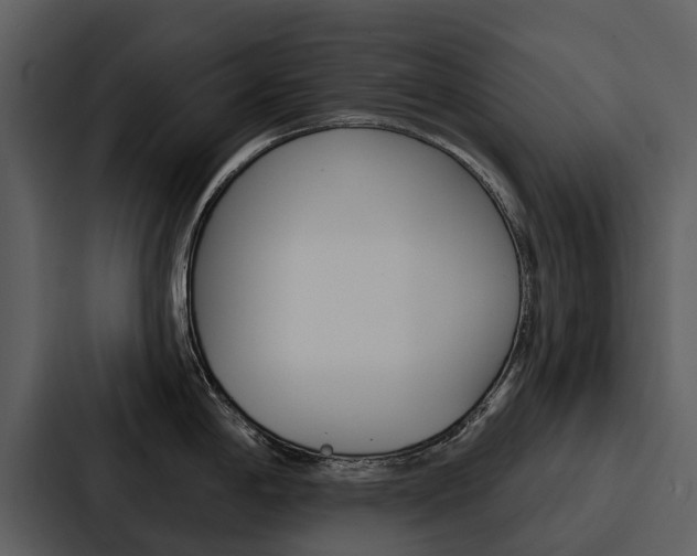 X0000088141198200705141025