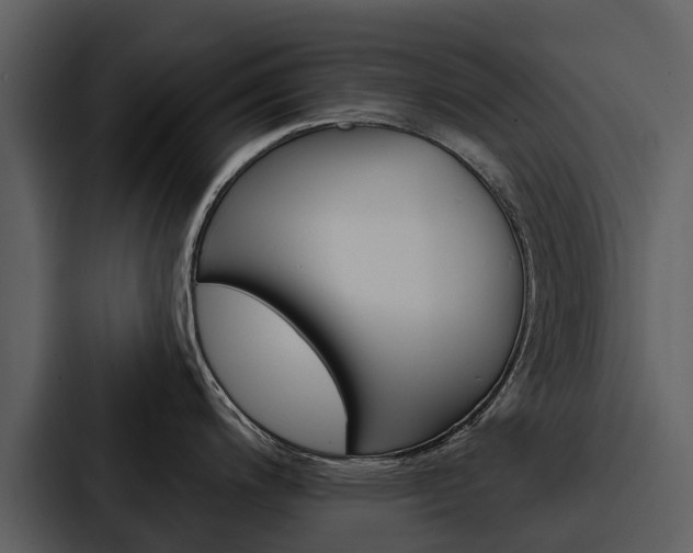 X0000088141200200705141025