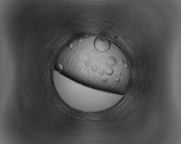 X0000088141201200705141025