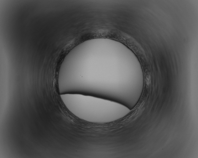 X0000088141204200705141025