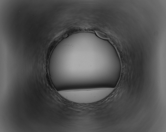 X0000088141205200705141025