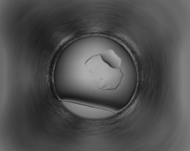 X0000088141210200705141025