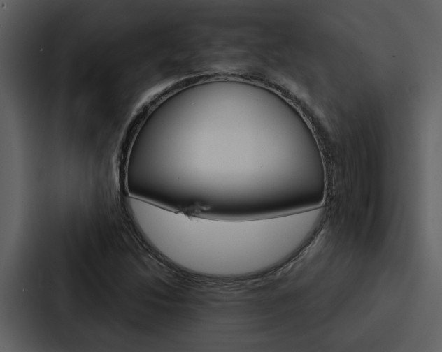 X0000088141214200705141025