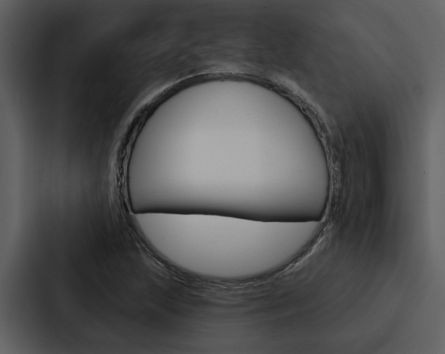 X0000088141215200705141025