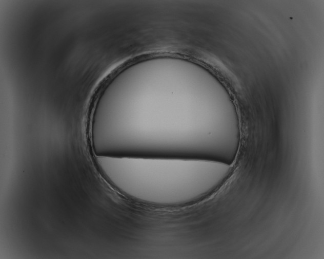 X0000088141216200705141025
