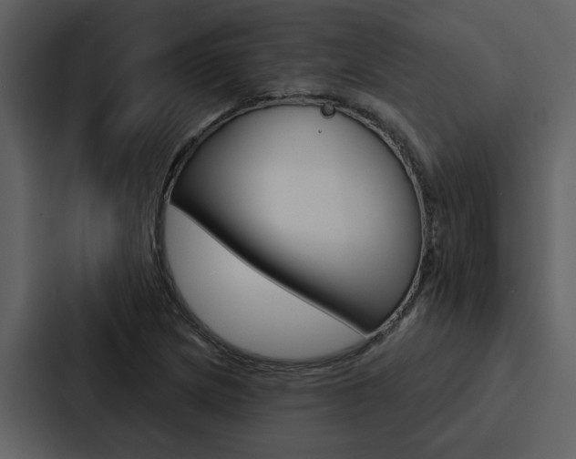 X0000088141217200705141025