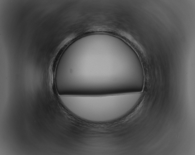 X0000088141221200705141025