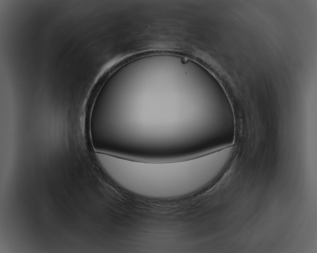 X0000088141222200705141025