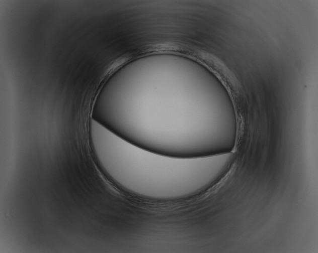 X0000088141225200705141025