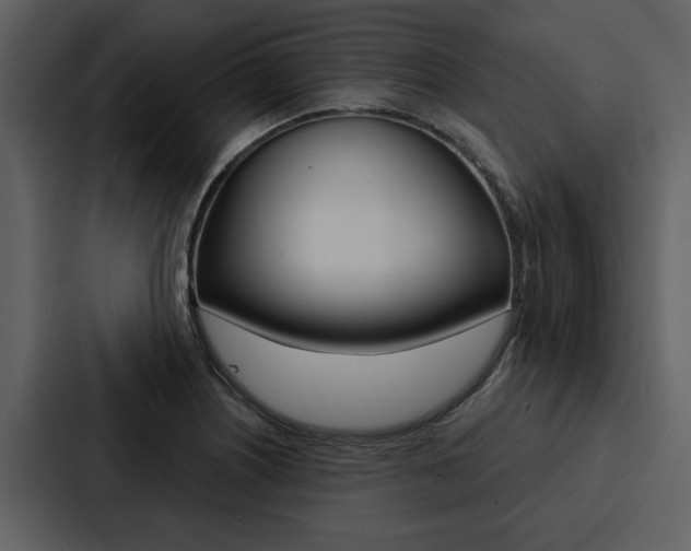 X0000088141226200705141025