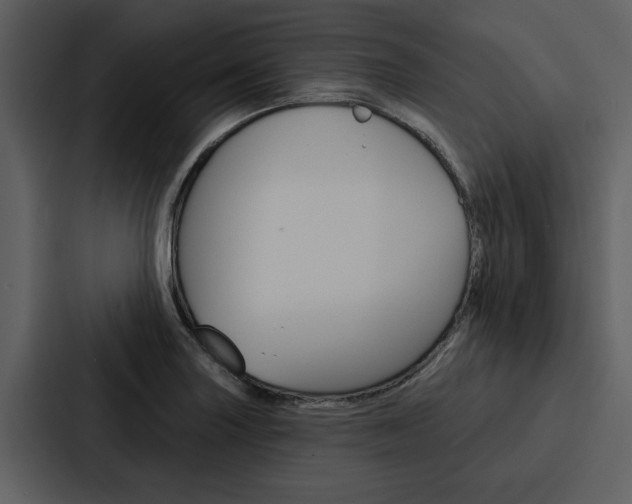 X0000088141227200705141025