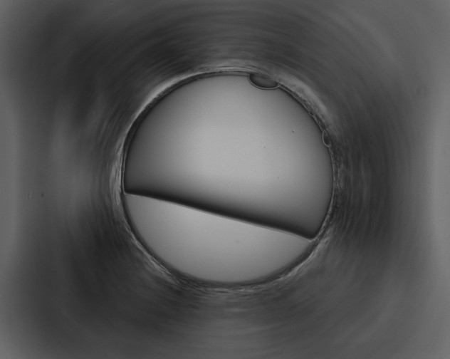 X0000088141228200705141025