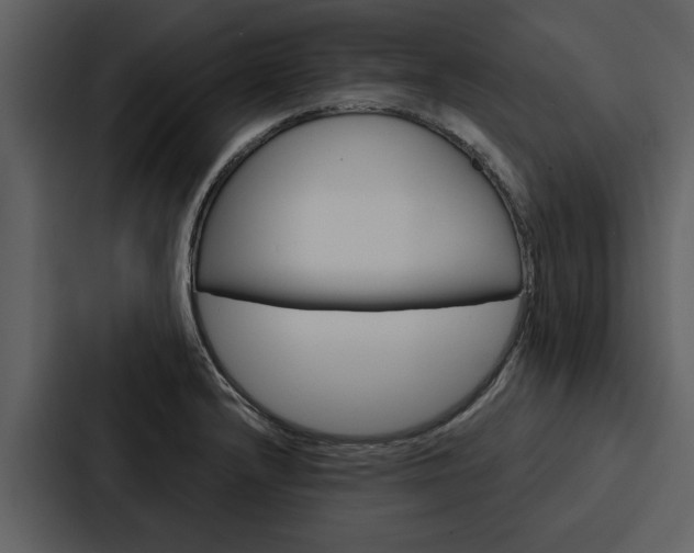 X0000088141232200705141025