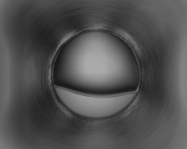 X0000088141234200705141025
