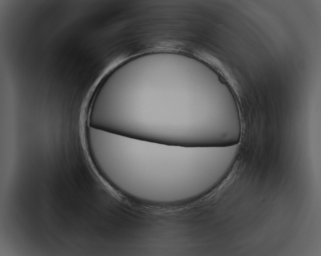 X0000088141235200705141025
