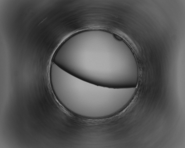 X0000088141236200705141025
