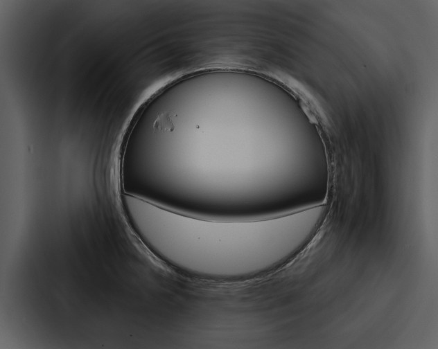 X0000088141238200705141025