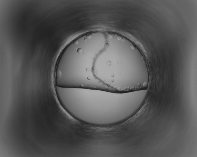 X0000088141239200705141025