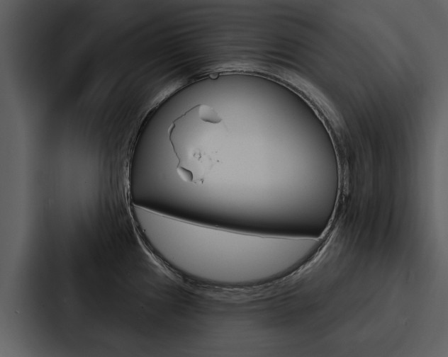 X0000088141241200705141025
