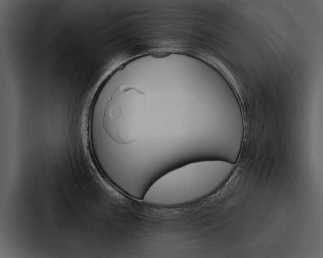 X0000088141243200705141025