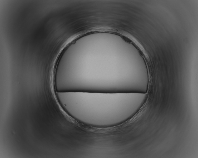X0000088141245200705141025