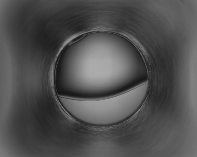 X0000088141246200705141025