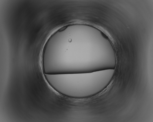 X0000088141247200705141025
