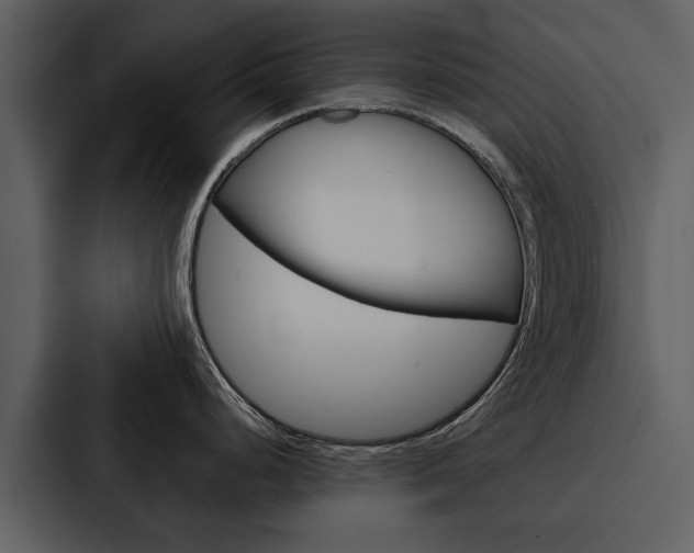X0000088141248200705141025