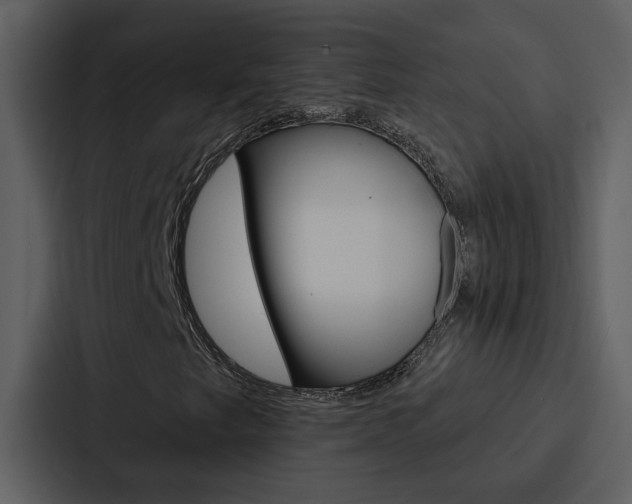 X0000088141249200705141025