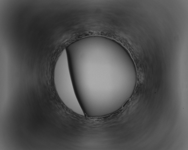 X0000088141253200705141025