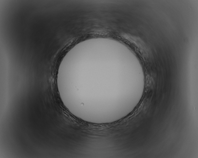 X0000088141254200705141025