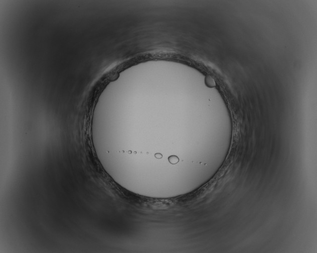 X0000088141255200705141025