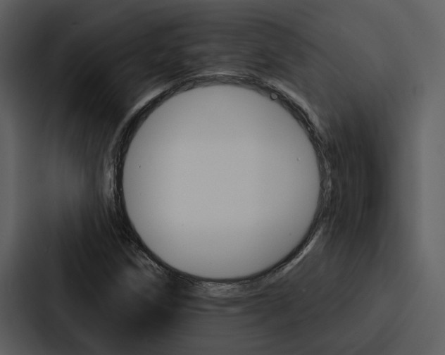 X0000088141258200705141025
