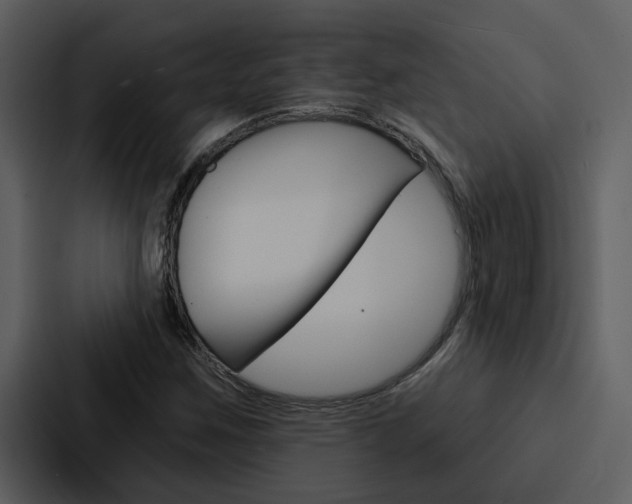 X0000088141259200705141024