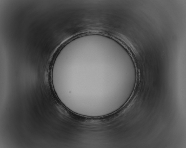 X0000088141260200705141024