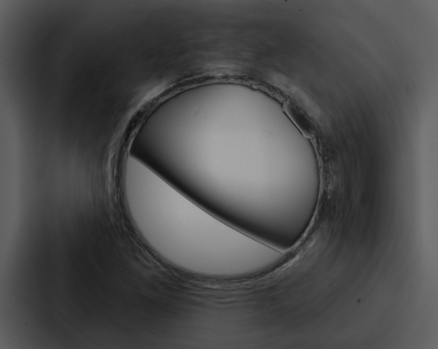 X0000088141261200705141024
