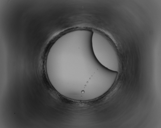 X0000088141263200705141024