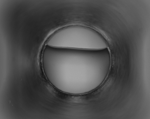 X0000088141264200705141024