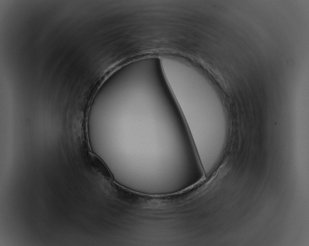 X0000088141265200705141024