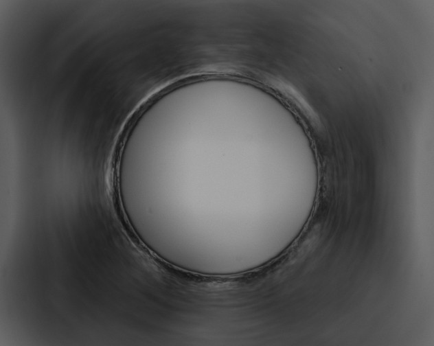 X0000088141268200705141024