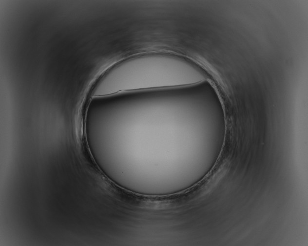 X0000088141269200705141024