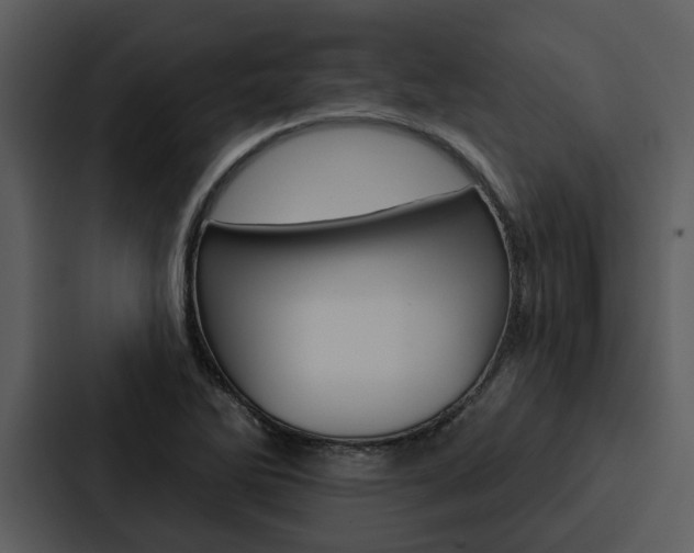 X0000088141270200705141024