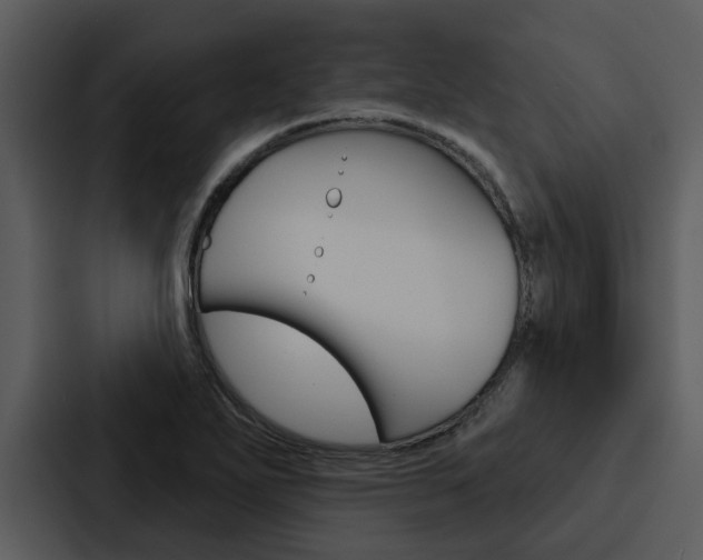 X0000088141271200705141024