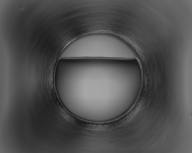 X0000088141273200705141024