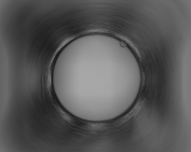X0000088141274200705141024